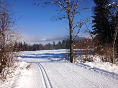 Cross country skiing trail winter photo