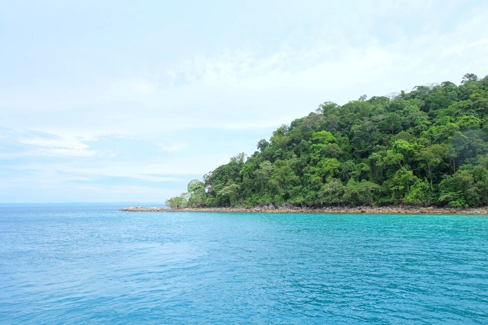 Seascape nature
