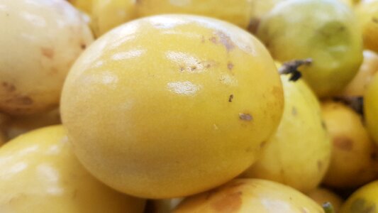 Nature pie passion fruit cake