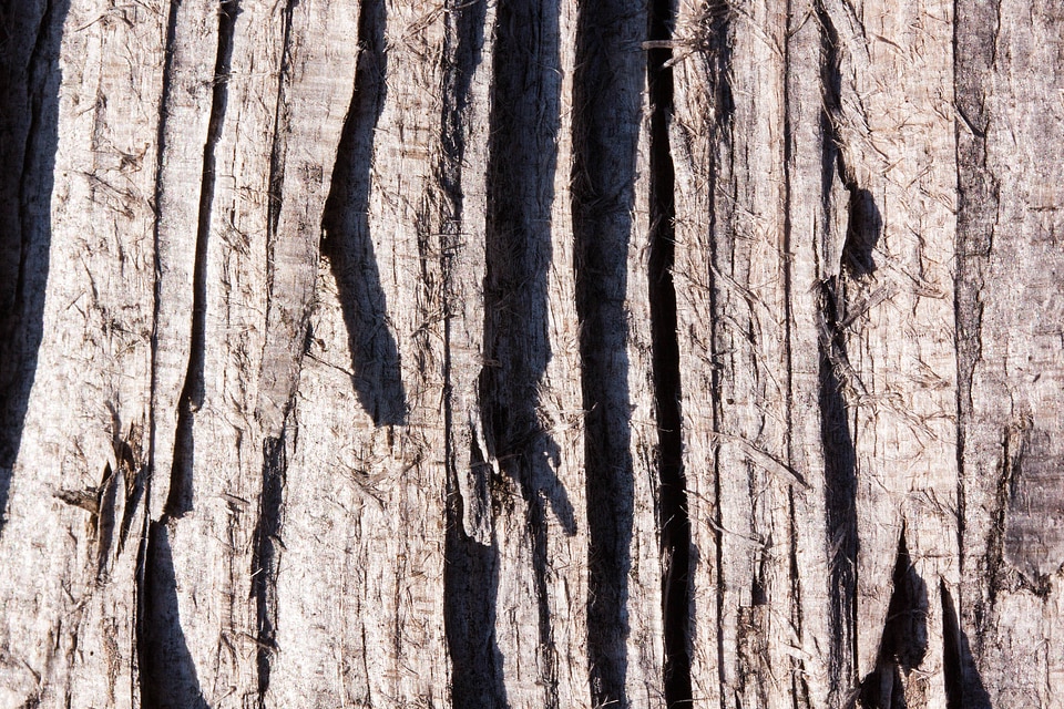 Fibrous old weathered