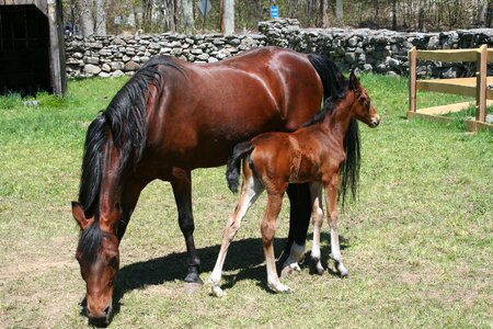 Mother and baby love care