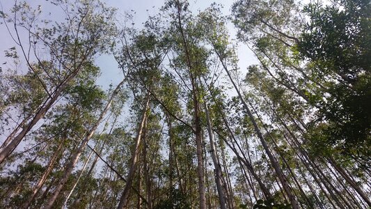 Sky mantiqueira nature