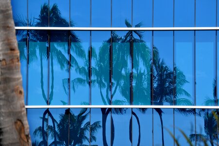 Glass building tropical
