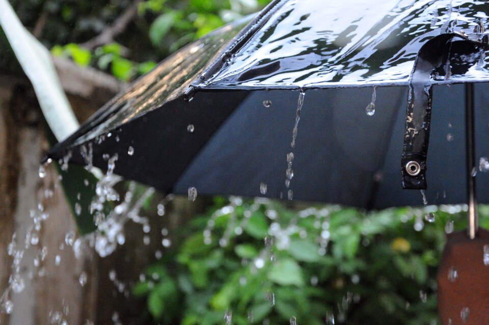 Water umbrella Free photos