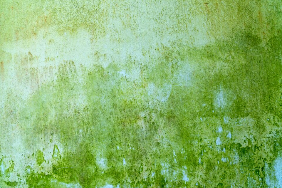Background texture structure color