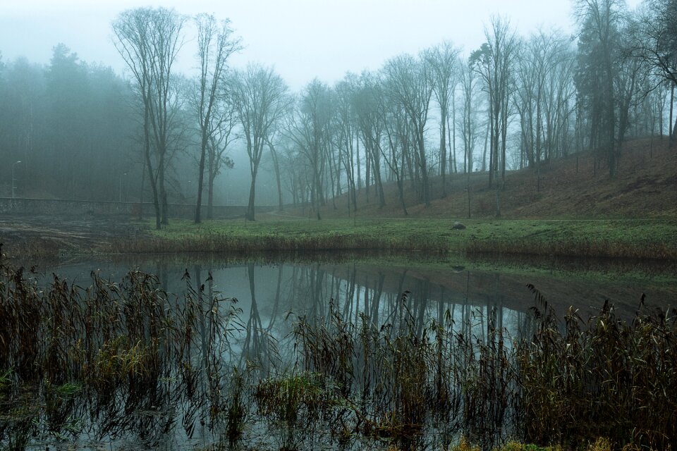 Tree october pond