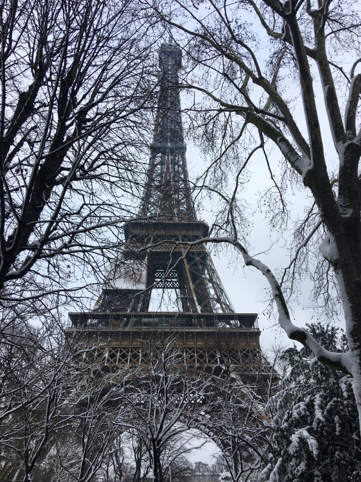 Snow winter