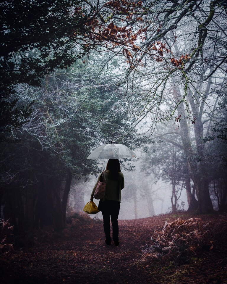 Jungle standing outdoors