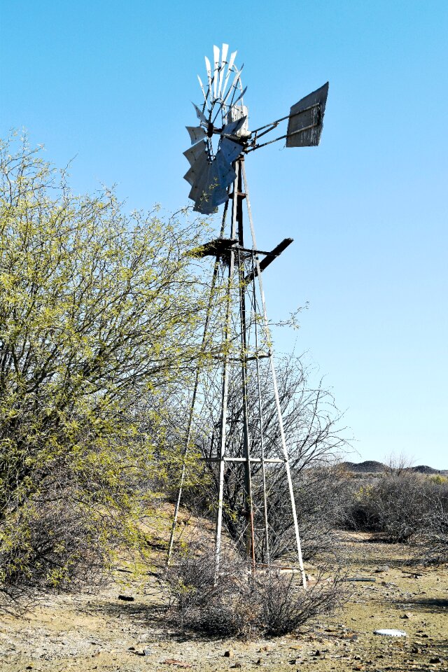 Bush semi-desert karoo photo