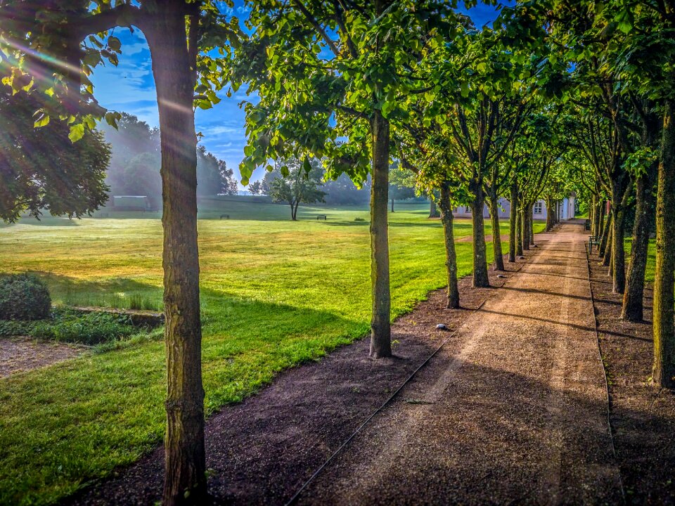 Castle nature landscape