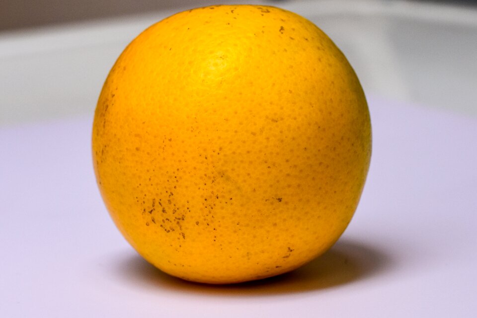 Orange fruit Free photos