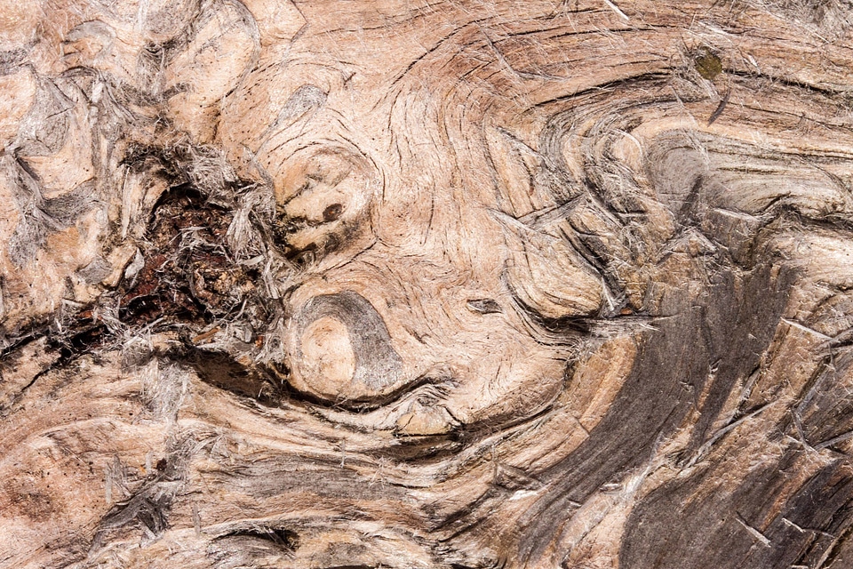Fibrous old weathered
