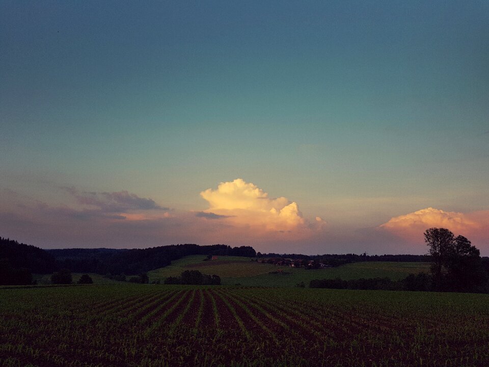 Sky arable cornfield