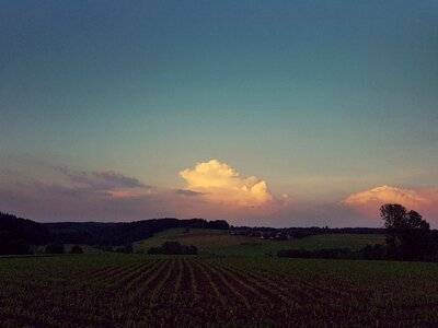 Sky arable cornfield photo