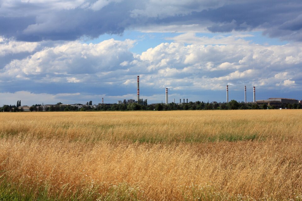 Landscape field sky