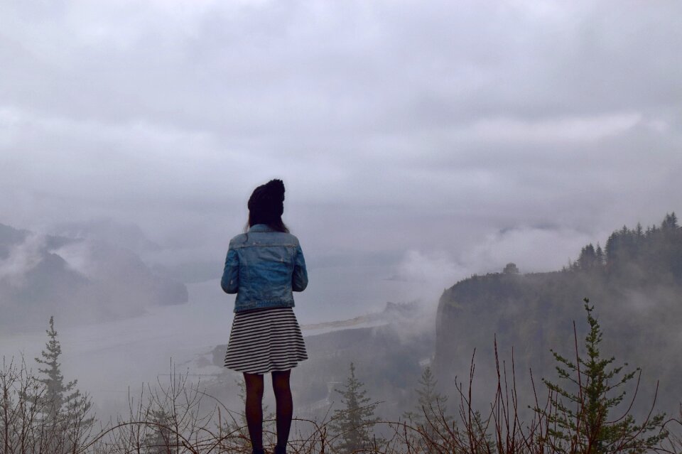 Fog view