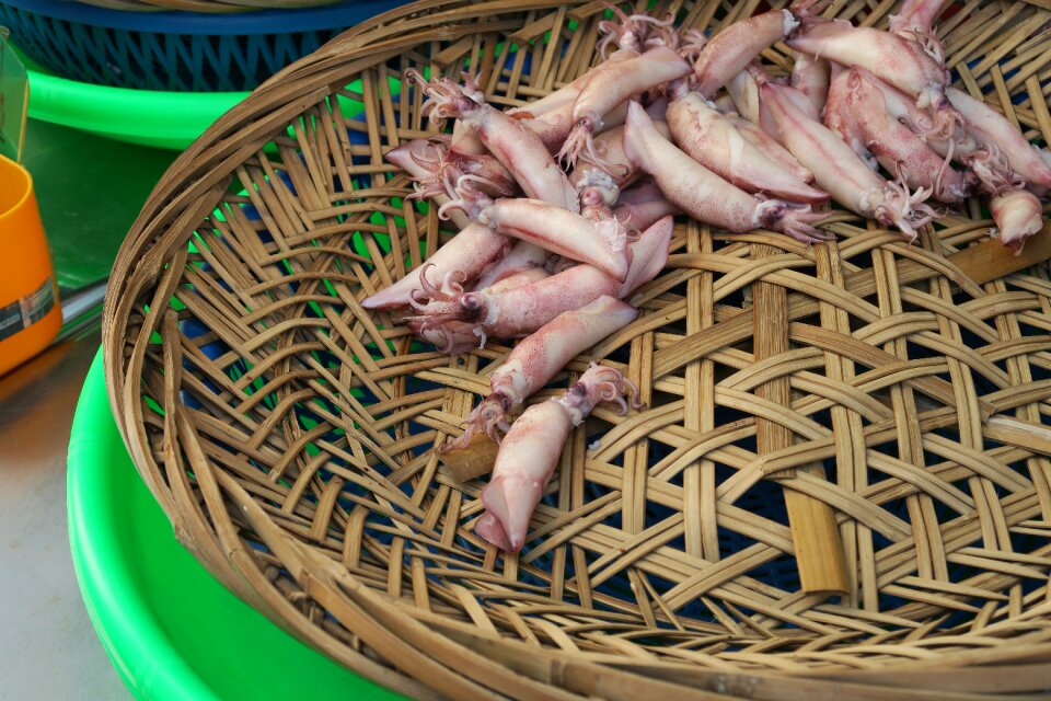 Squid barbecue Free photos