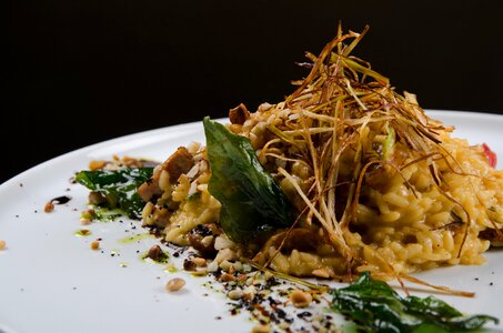 Tasting gourmet food restaurant
