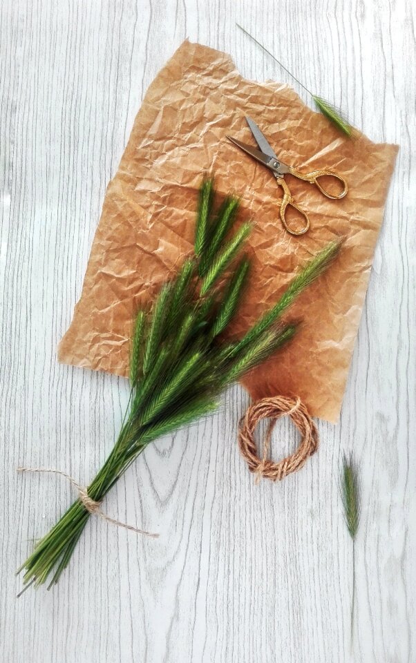 Floristry ikebana hobby
