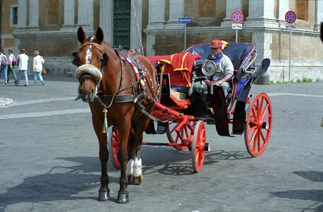 City roma italy