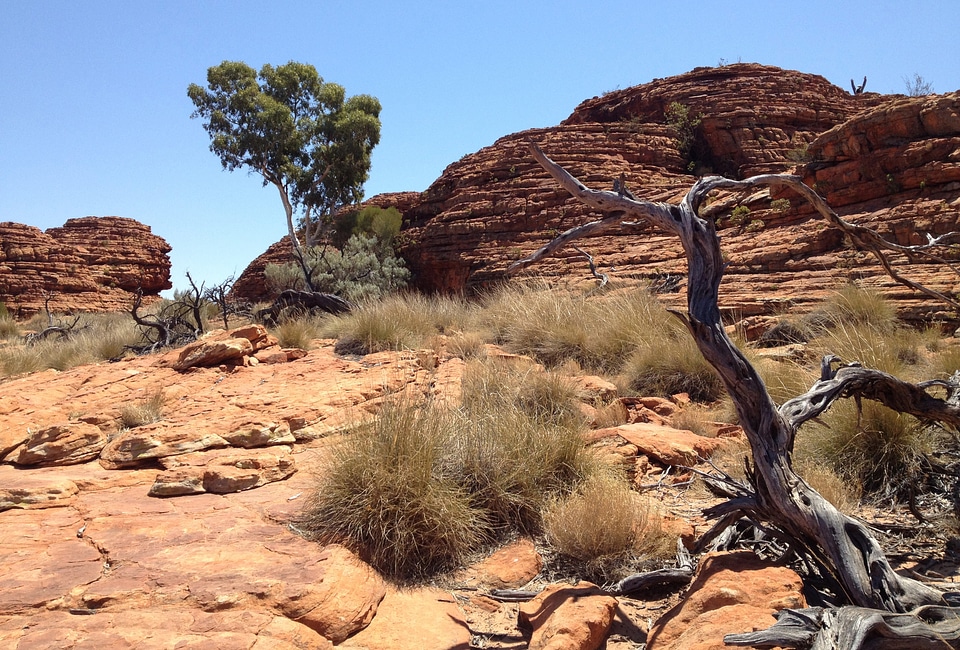 Australia australian landscape
