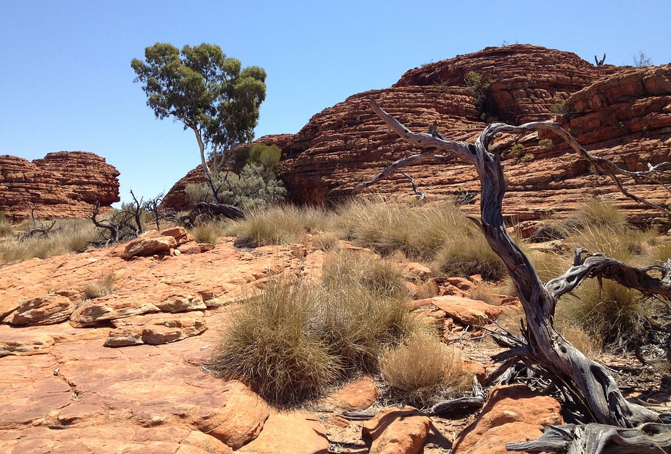 Australia australian landscape photo