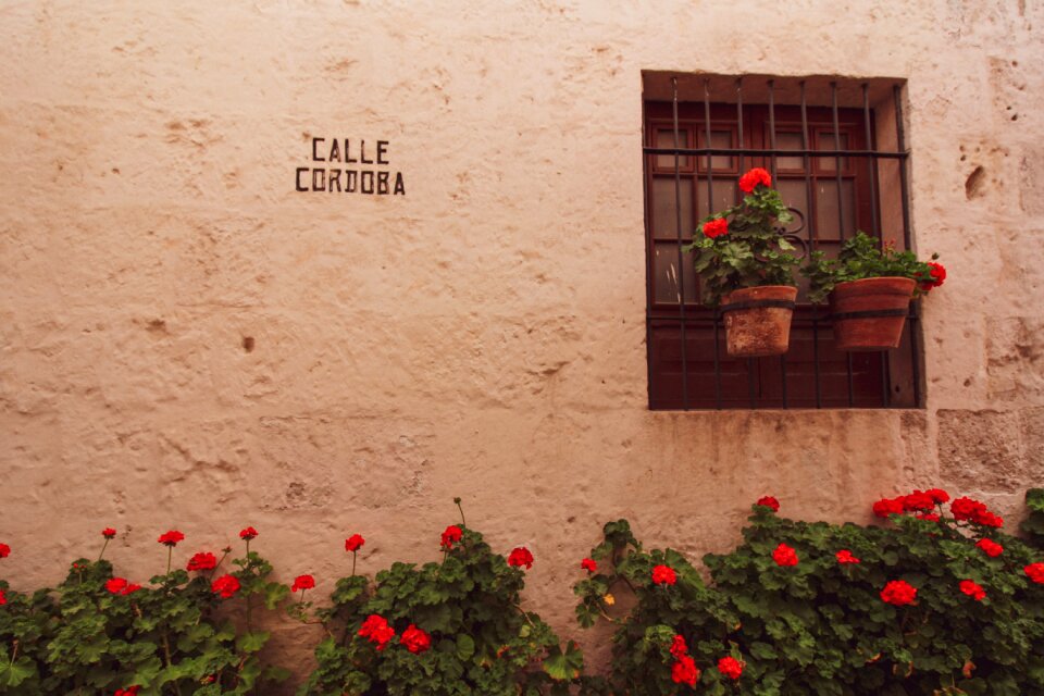 Peru window flower pots
