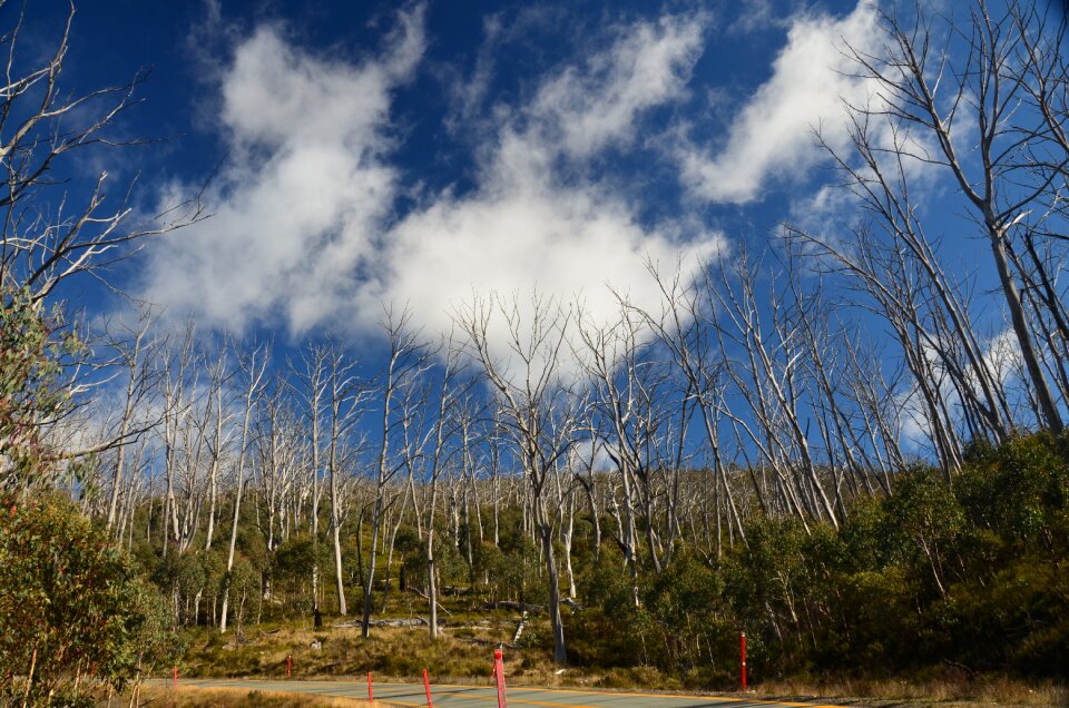 Outdoor natural scene