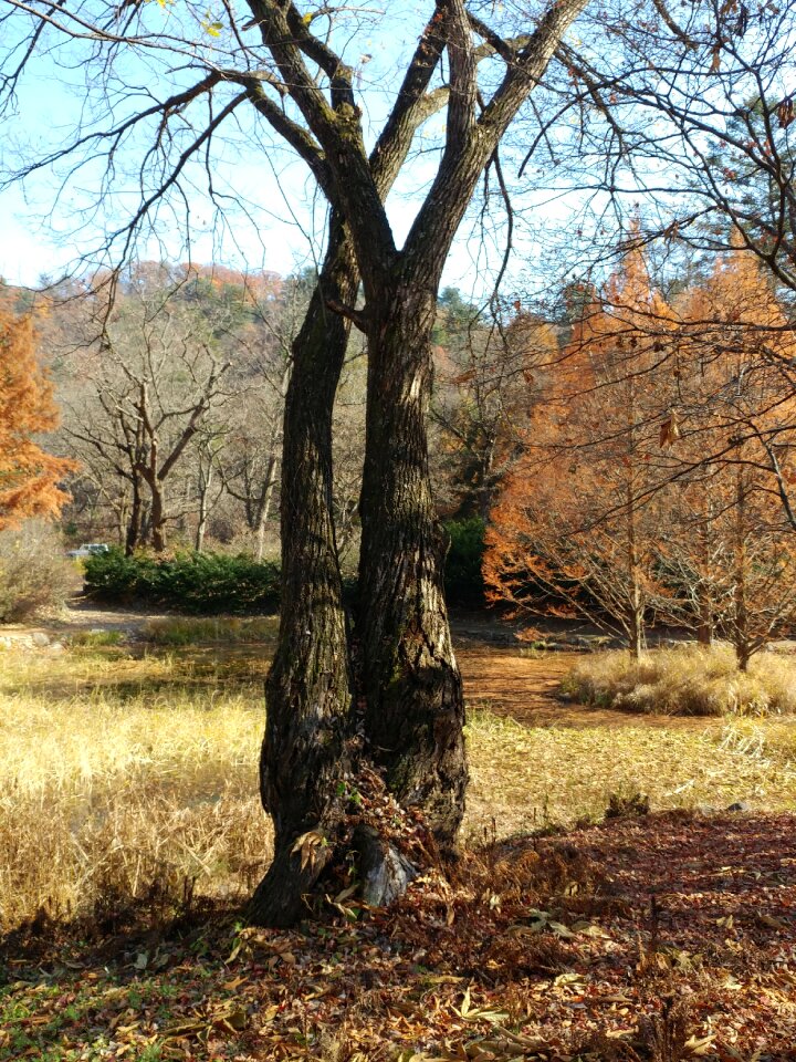 Nature quarter park