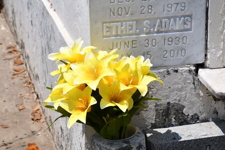 Nola new orleans lafayette cemetery photo