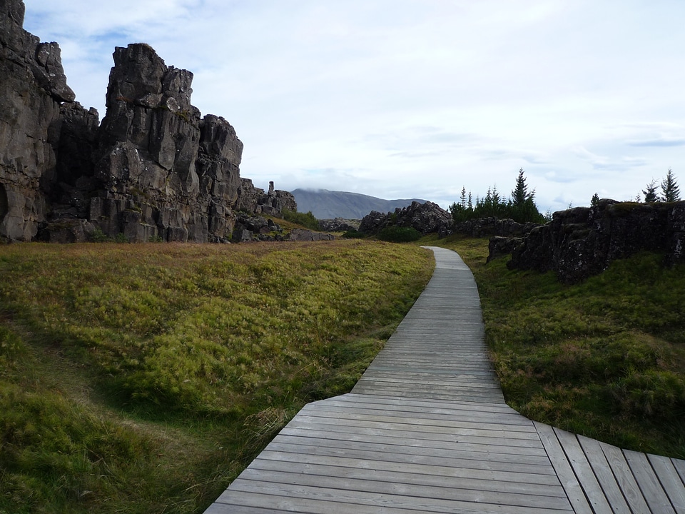 Nature web landscape