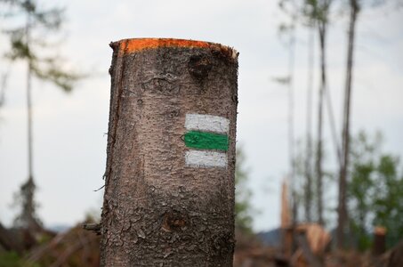 Landscape extraction tourism