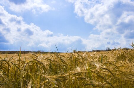 Landscapes nature landscape nature attachment