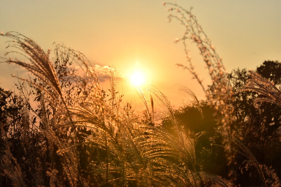 Sunset sun Free photos