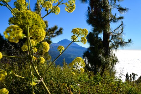 Spain nature mountain photo