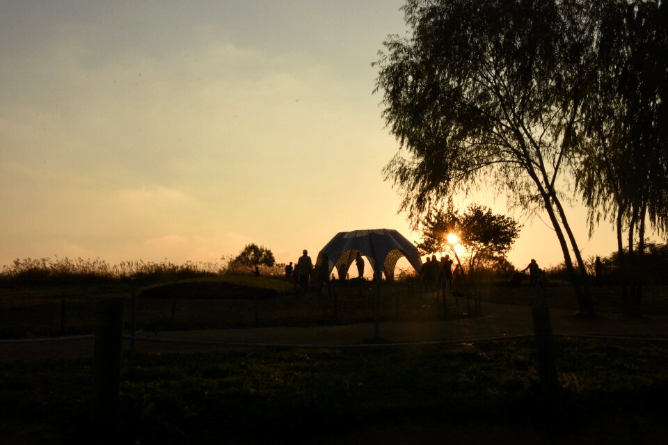 Silhouette sunset Free photos
