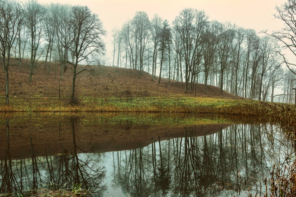 Tree october pond