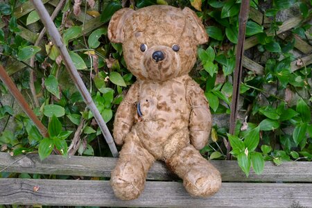 Bear garden outside