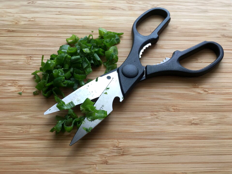 Spring onion green food