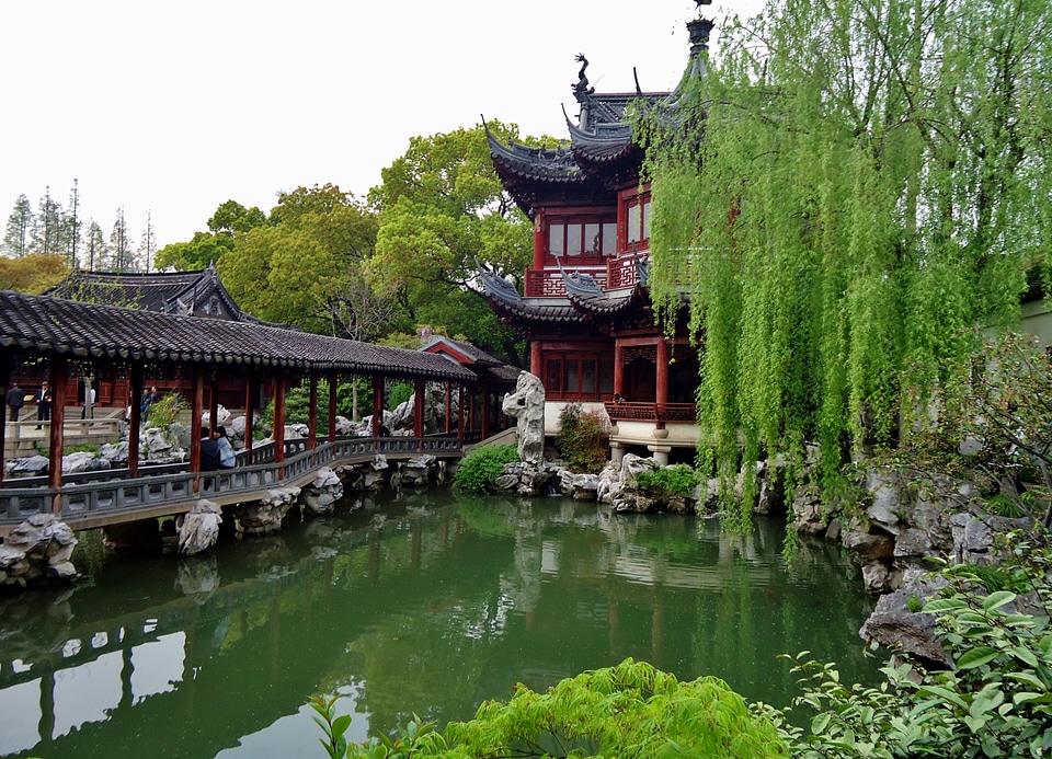 Shanghai basin water