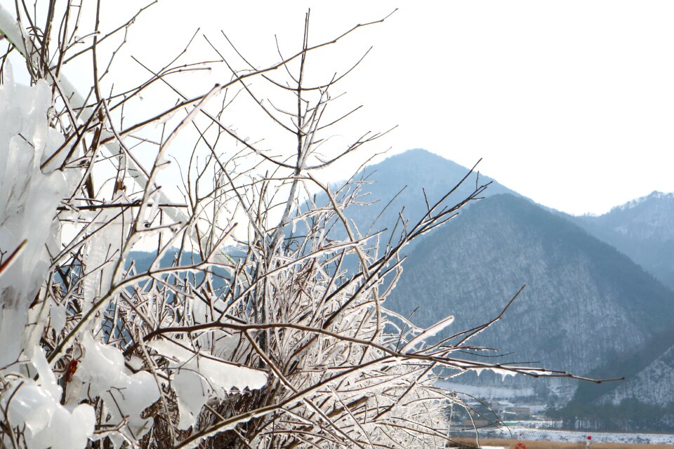 Chaoyang steel hard rime Free photos