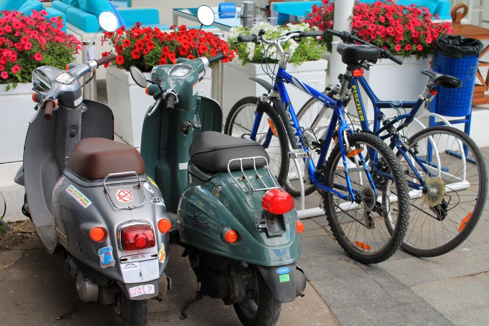 Bicycles flowers ukraine