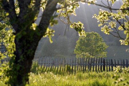 Summer sunlight mountain