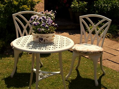 Garden display