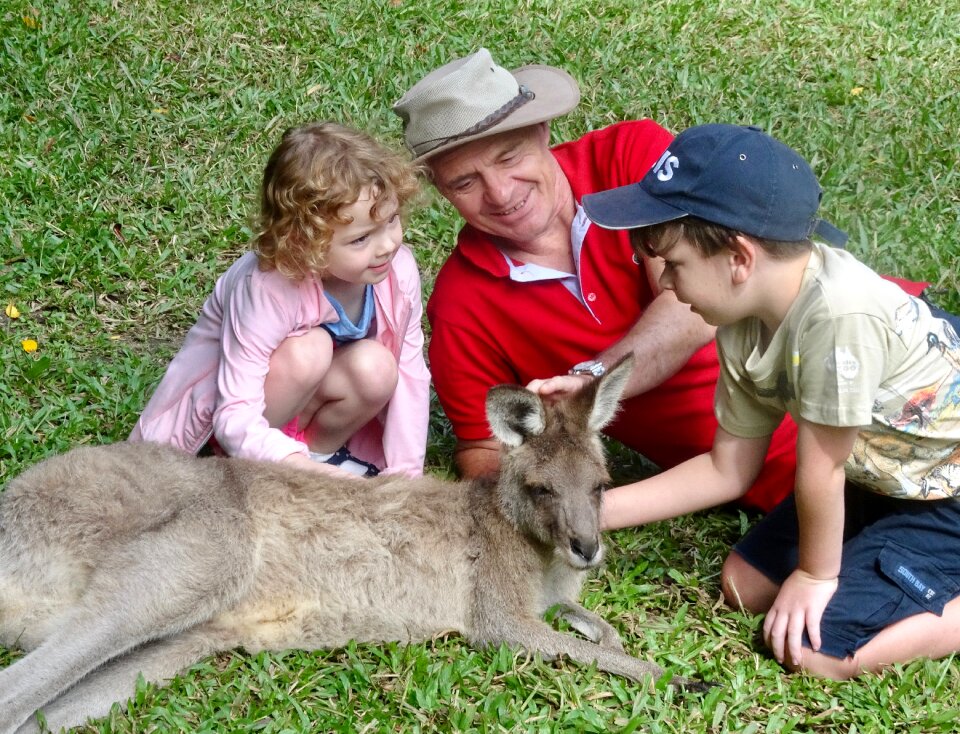 Australia animal cute