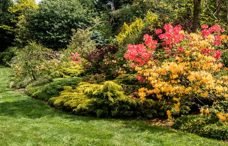 Horticulture arboretum flowers