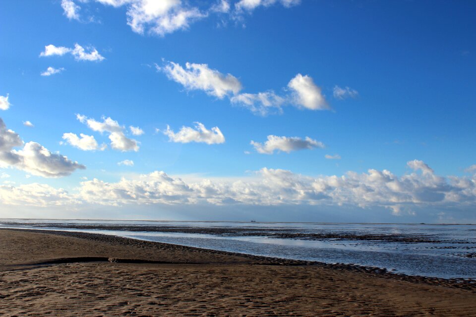 Sea island wadden