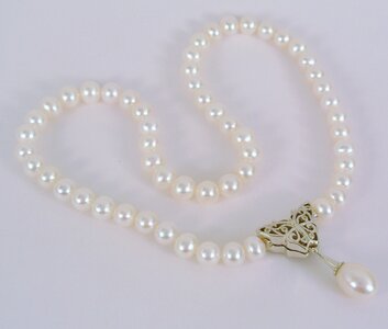 Pearls necklace Free photos photo