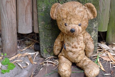 Bear garden outside
