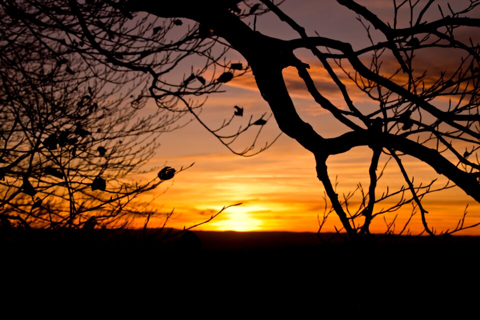 Evening abendstimmung evening sun